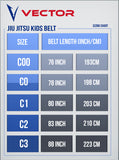 Kids BJJ Belt